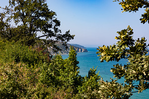Scenic coastline framed by lush green trees, overlooking turquoise sea and dist, a Nature Photo by Ales Munt
