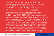 Barkie Hustle Modern Alternate, a Serif Font by timelesstype.co (Thumbnail 10 of 10)