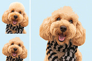 Pet Abstract Paint Photoshop Action, an Action Add-On by MRI STUDIO (Thumbnail 2 of 9)