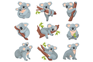 Cartoon koala. Cute australian bear, an Animal Illustration by Stock-Smart-Start