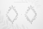 Botany & Moon. Hand Drawn Line Art., a Decorative Illustration by Designwork (Thumbnail 11 of 20)