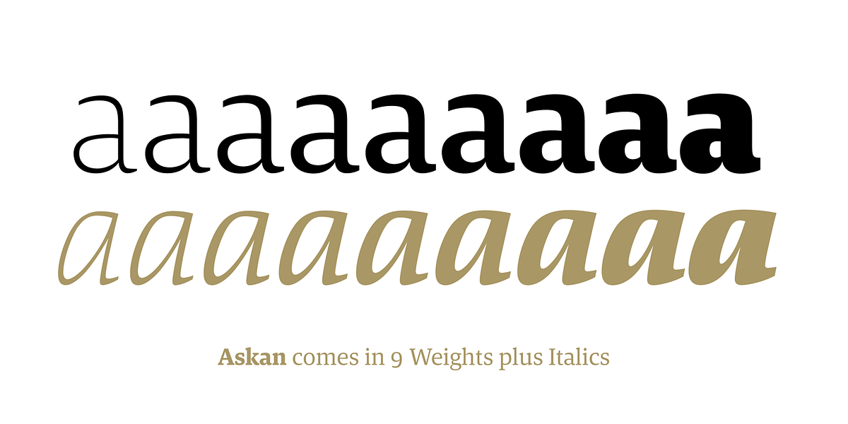 Askan, a Serif Font by Hoftype (Photo 5 of 14)