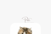 10 Cat Clipart, an Animal Illustration by Pati Charm Studio (Thumbnail 6 of 8)