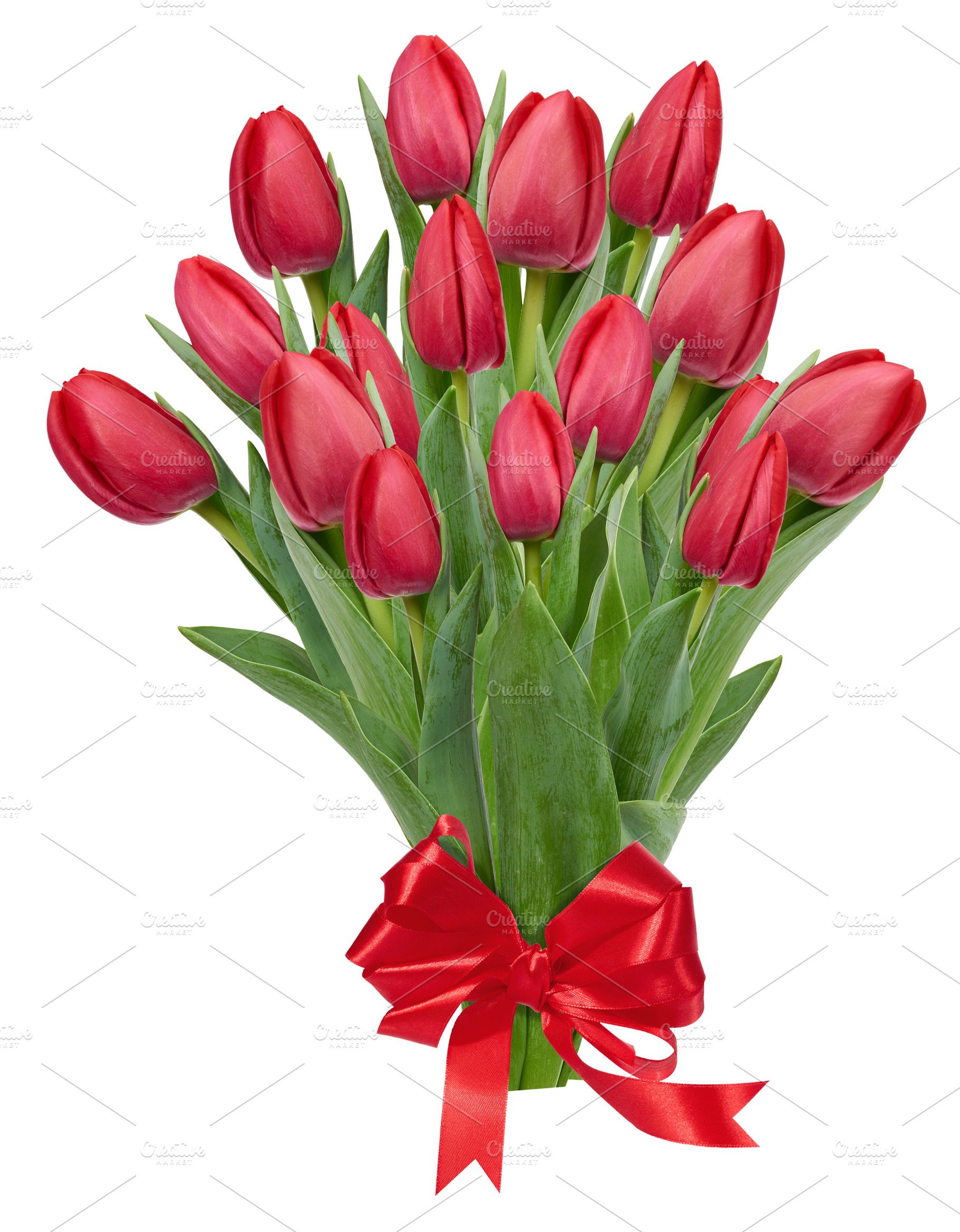 A bouquet of red tulips with green leaves, tied with a festive r, a Holiday Photo by ndanko