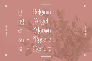 Alexang Display - Display Serif