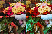 30 Flowers Lightroom Collection, a Preset Add-On by 3Motional (Thumbnail 3 of 11)