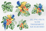 Parrots & tropical leaves watercolor, an Animal Illustration by NATASHA CHU (Thumbnail 4 of 21)