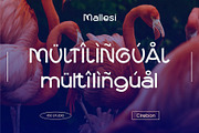 Mallesi Modern Sans, a Sans Serif Font by 160 Studio (Thumbnail 10 of 13)