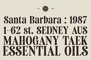 Saneco | Display Serif, a Serif Font by Jolicia Type (Thumbnail 5 of 12)