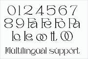 Bashan, a Serif Font by Muksal Creative (Thumbnail 9 of 9)