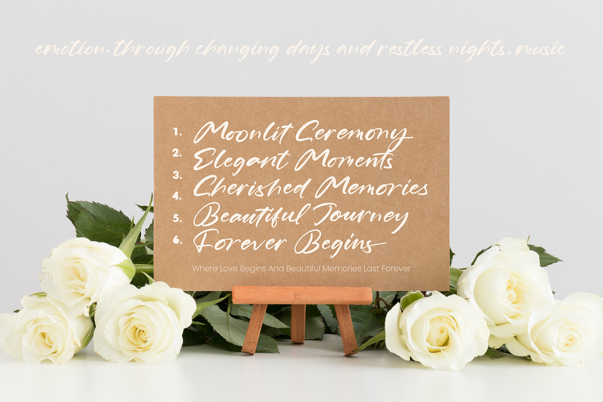 Romantic Sunny Modern Handwritten, a Script Font by stylishtype.co (Photo 2 of 10)