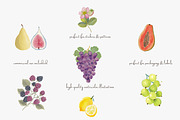 Fruit watercolor clipart set, a Decorative Illustration by Patishop Art (Thumbnail 5 of 7)