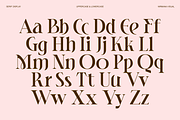 Heroma - Modern Ligatures Font, a Serif Font by Nirmana Visual (Thumbnail 2 of 8)