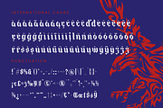 The Raffers Blackletter Font, a Blackletter Font by timelesstype.co (Thumbnail 19 of 20)