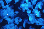 Refraction Glass Photo Effect, a Texture Graphic by Design Squad (Thumbnail 5 of 7)