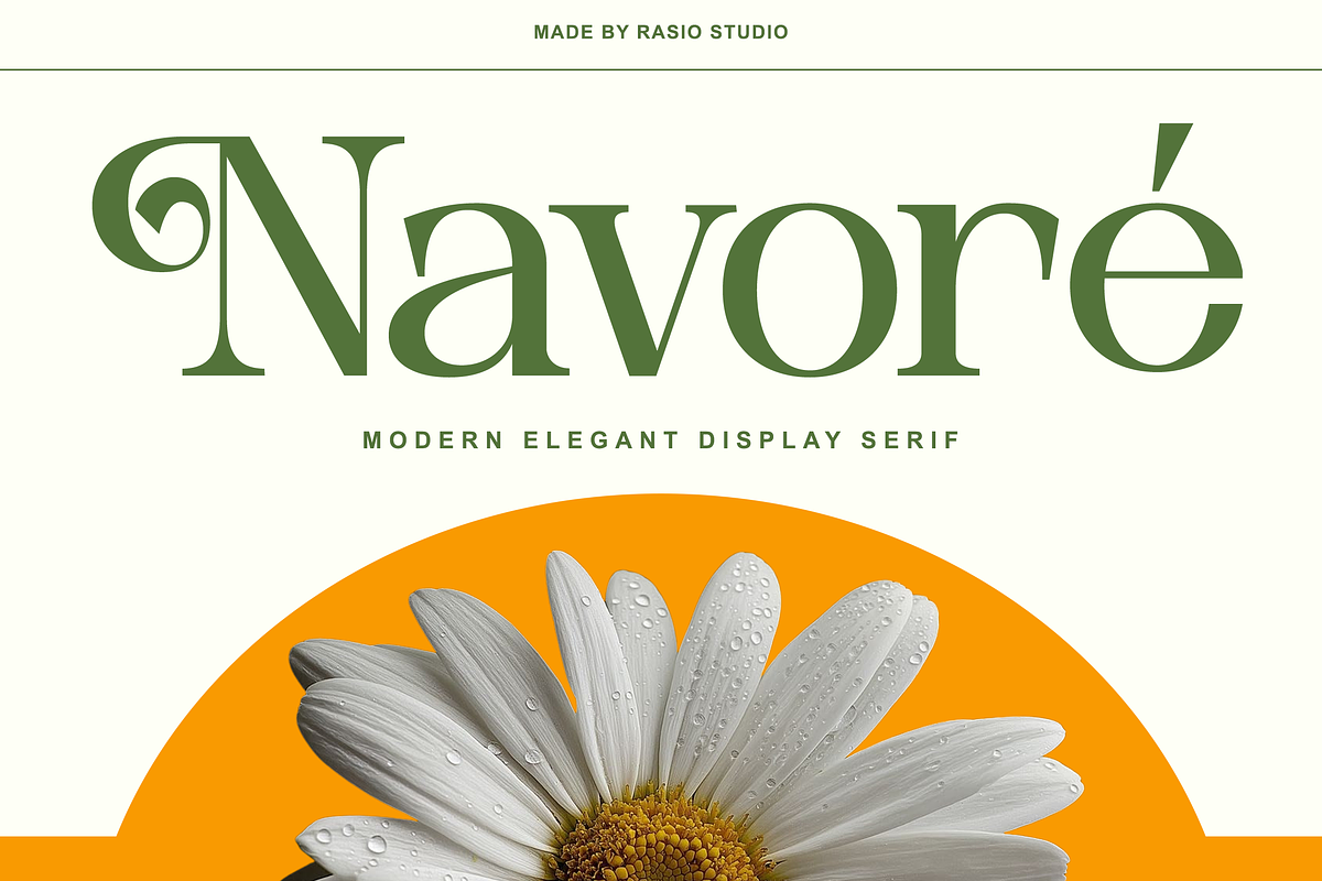 Navore Modern Elegant Display Font, a Serif Font by Rasio Studio (Photo 1 of 9)