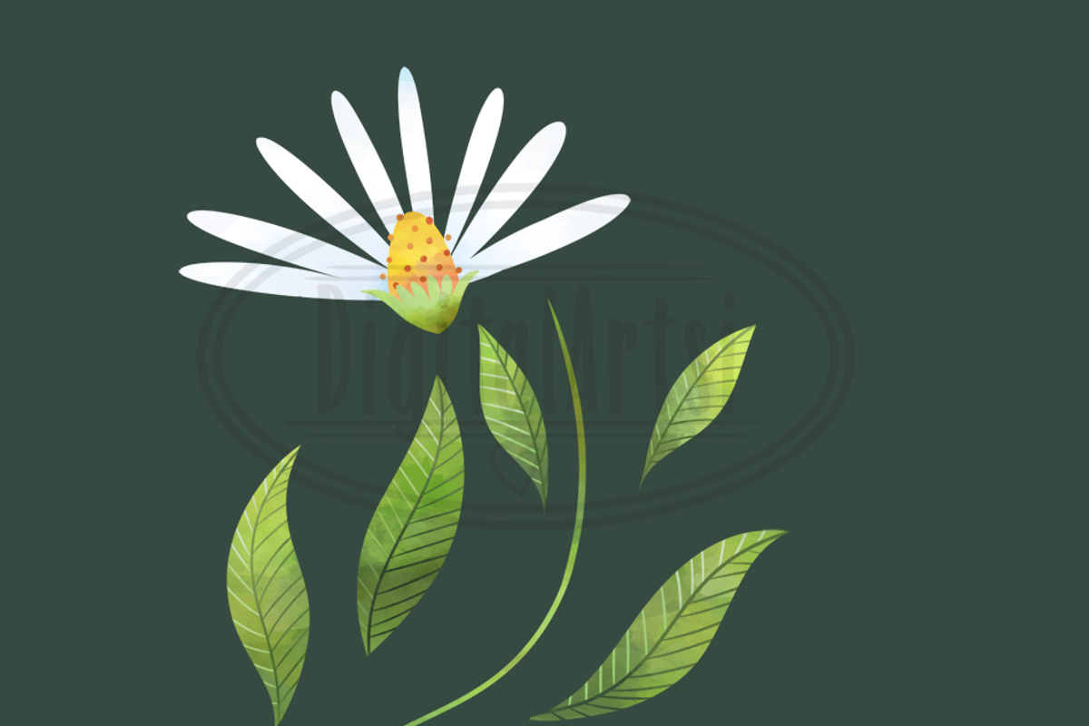 Watercolor Florals Clipart, an Illustration by DigitalArtsi (Photo 4 of 6)