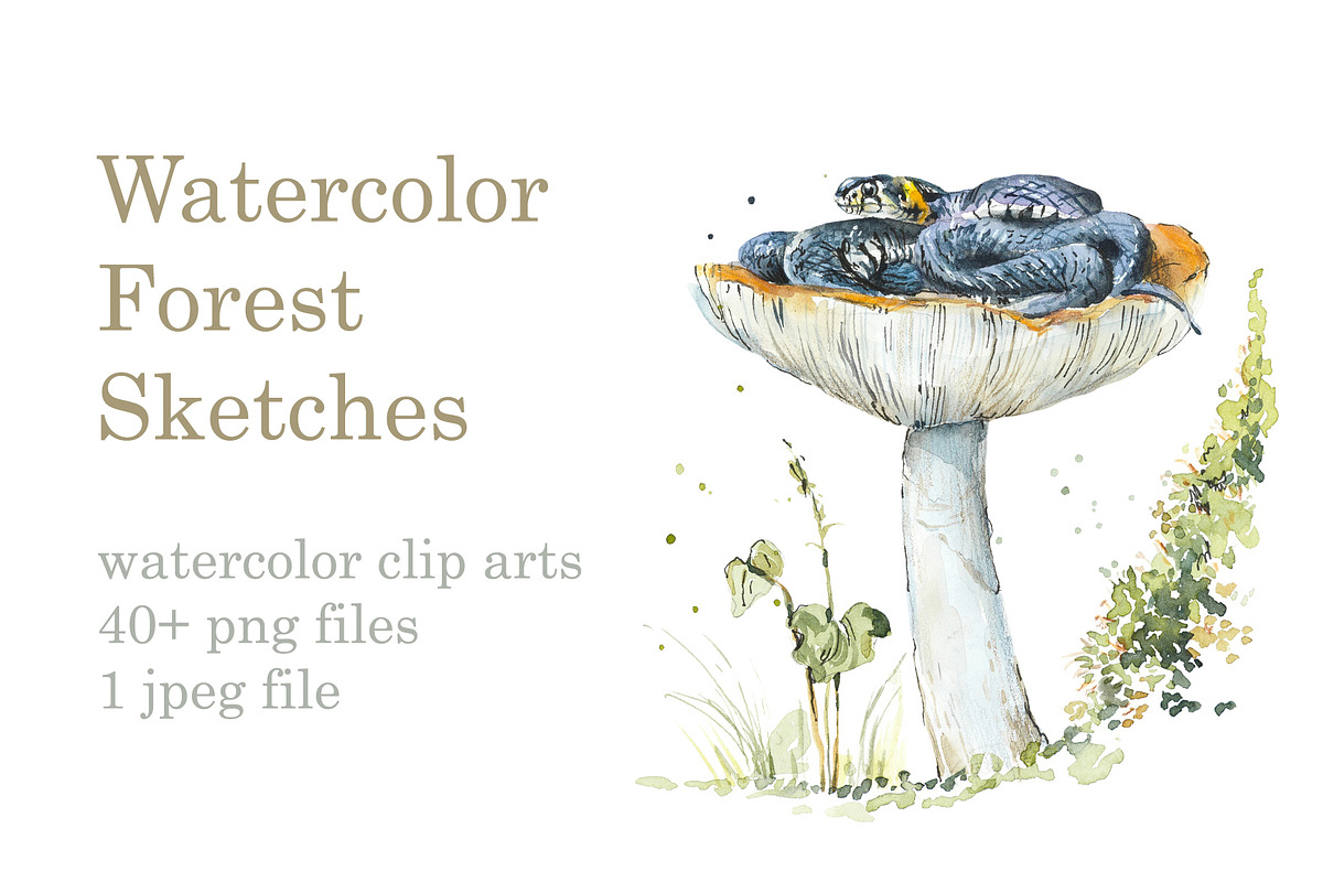 Watercolor Forest Sketches, an Object Graphic by Budogoshch (Photo 1 of 5)
