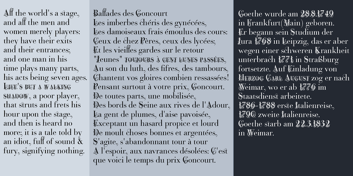 Bodoni Classic Fleurs, a Serif Font by Wiescher-Design (Photo 3 of 7)