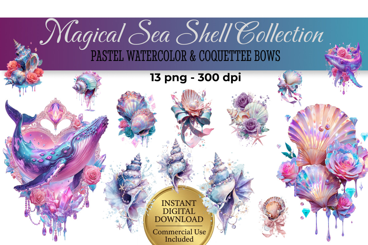 Pastel Sea Shell Clipart - 13 PNG, an Animal Illustration by InkyQueenArt (Photo 1 of 6)