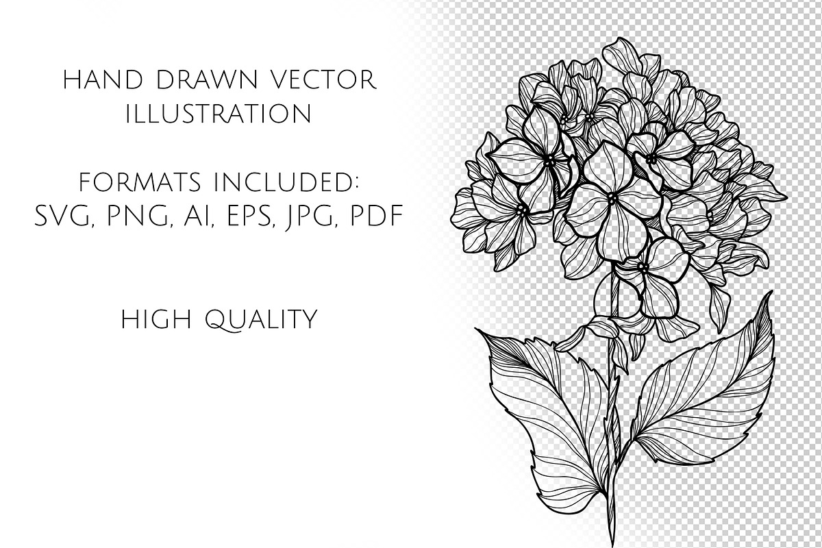 Hydrangea Flowers Line Art SVG, a Decorative Illustration by Dervik Art Store (Photo 6 of 6)