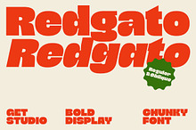 Redgato - Chunky Bold Display Font
