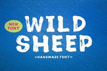 Wild Sheep