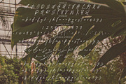 Qikabey - Handwritten Signature, a Handwritten Font by tebaltipislab (Thumbnail 4 of 7)