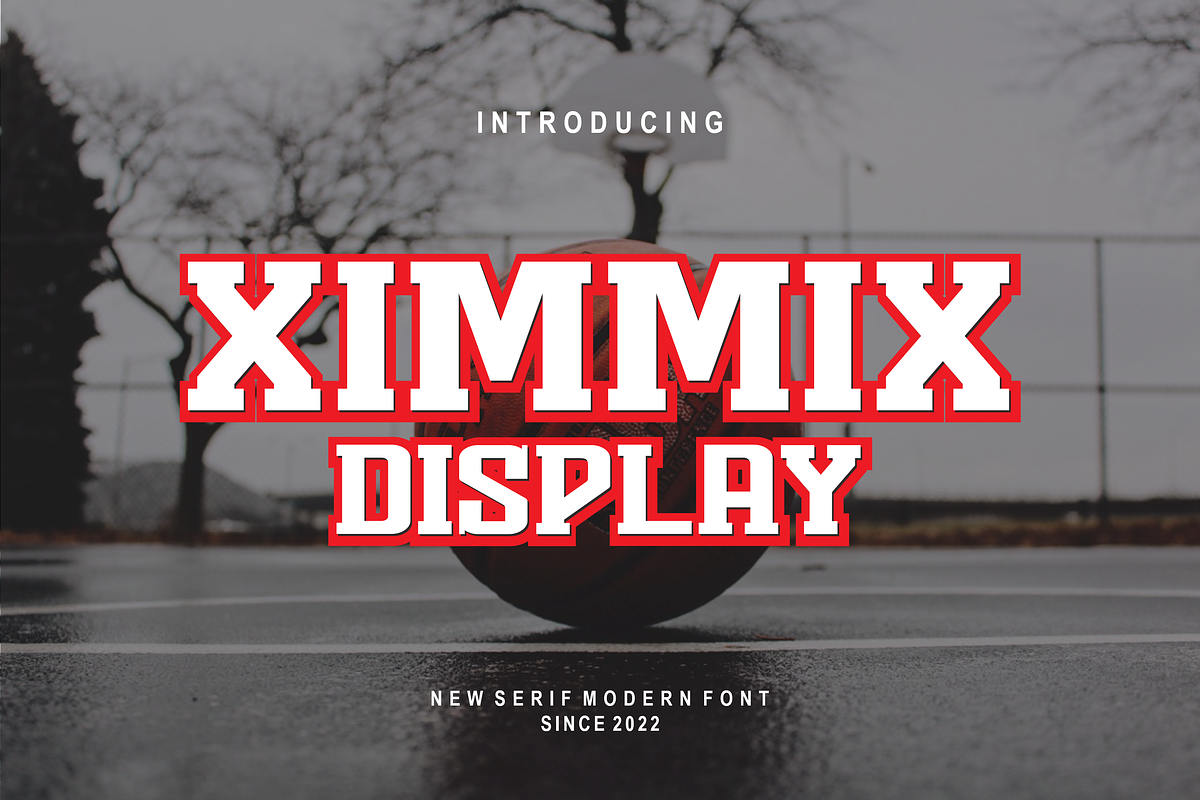 XimmixDisplay, a Sans Serif Font by riotama85 (Photo 1 of 5)