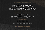 Crowned - Handbrushed Font, a Handwritten Font by Timurtype (Thumbnail 6 of 7)