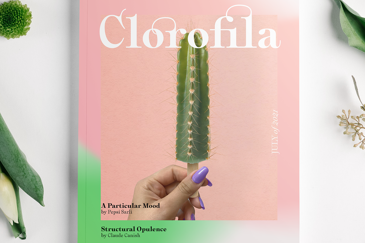 Plethora, a Serif Font by Sudtipos (Photo 10 of 12)