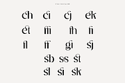 DT Garet – Luxury Serif Typeface, a Font by Diztinct Type (Thumbnail 6 of 12)