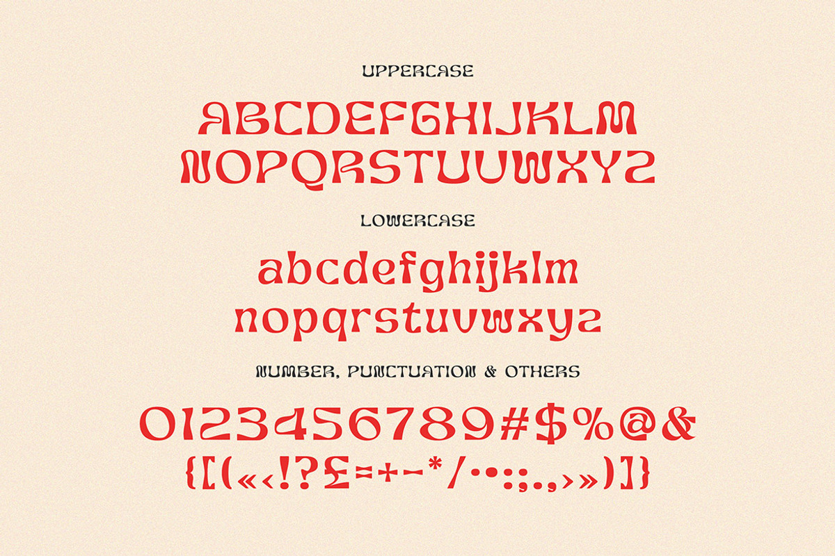 Turbard Modern Serif, a Serif Font by Cruzine (Photo 6 of 9)