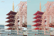 15 Japan Lightroom Presets, a Preset Add-On by CVR Presets (Thumbnail 6 of 8)