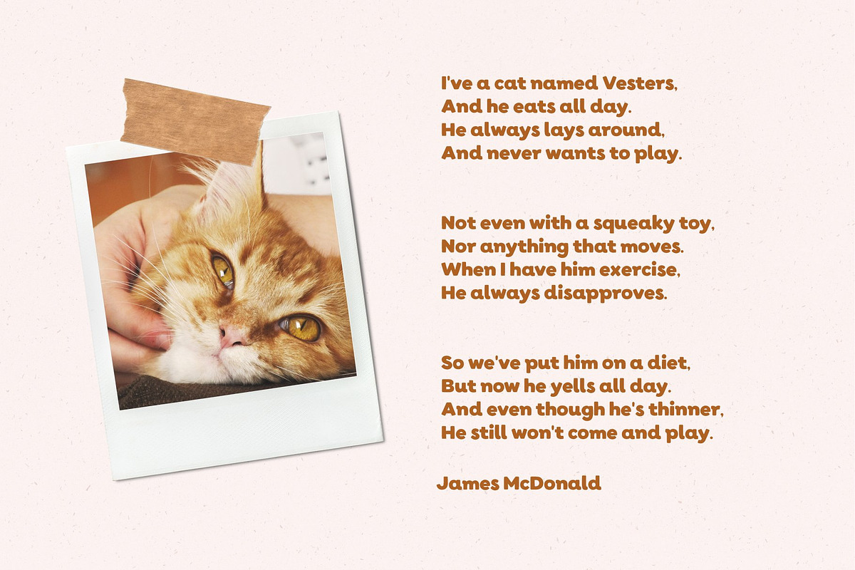 Ginger cat | Hand-drawn sans, a Sans Serif Font by AngelinaKovel (Photo 12 of 13)