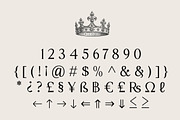 Sonne | 12 Fonts, a Serif Font by Skinny Type (Thumbnail 11 of 11)