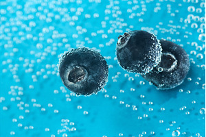Fresh blueberries float in sparkling, a Food & Drink Photo by darksoul72