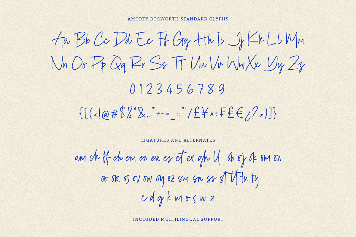 Amorty Bosworth Signature Font, a Handwritten Font by Heinzel Std (Photo 8 of 13)