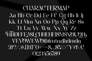 Enorish || Modern Classy Serif Font, a Serif Font by Ermedia Studio (Thumbnail 10 of 10)