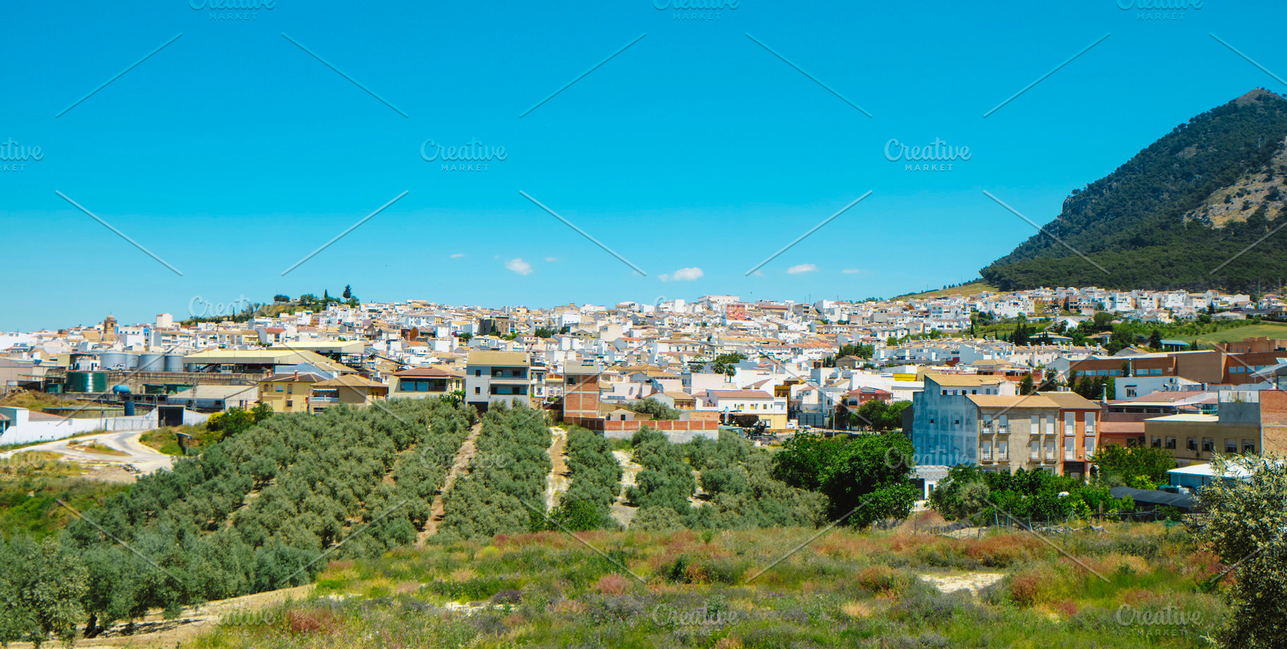 Rute with olive groves and a mountain behind, a Photo by Nito