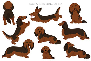 Dachshund Longhaired Clipart