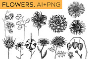 Autumn Leaves & Flowers. Fall Bundle, an Object Graphic by Yevheniia (Thumbnail 6 of 11)