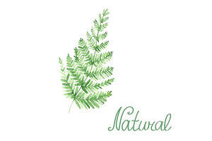 Vector watercolor natural set