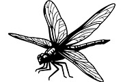 20 Dragonfly Silhouette Mega, an Object Graphic by Designer_Momina (Thumbnail 2 of 19)