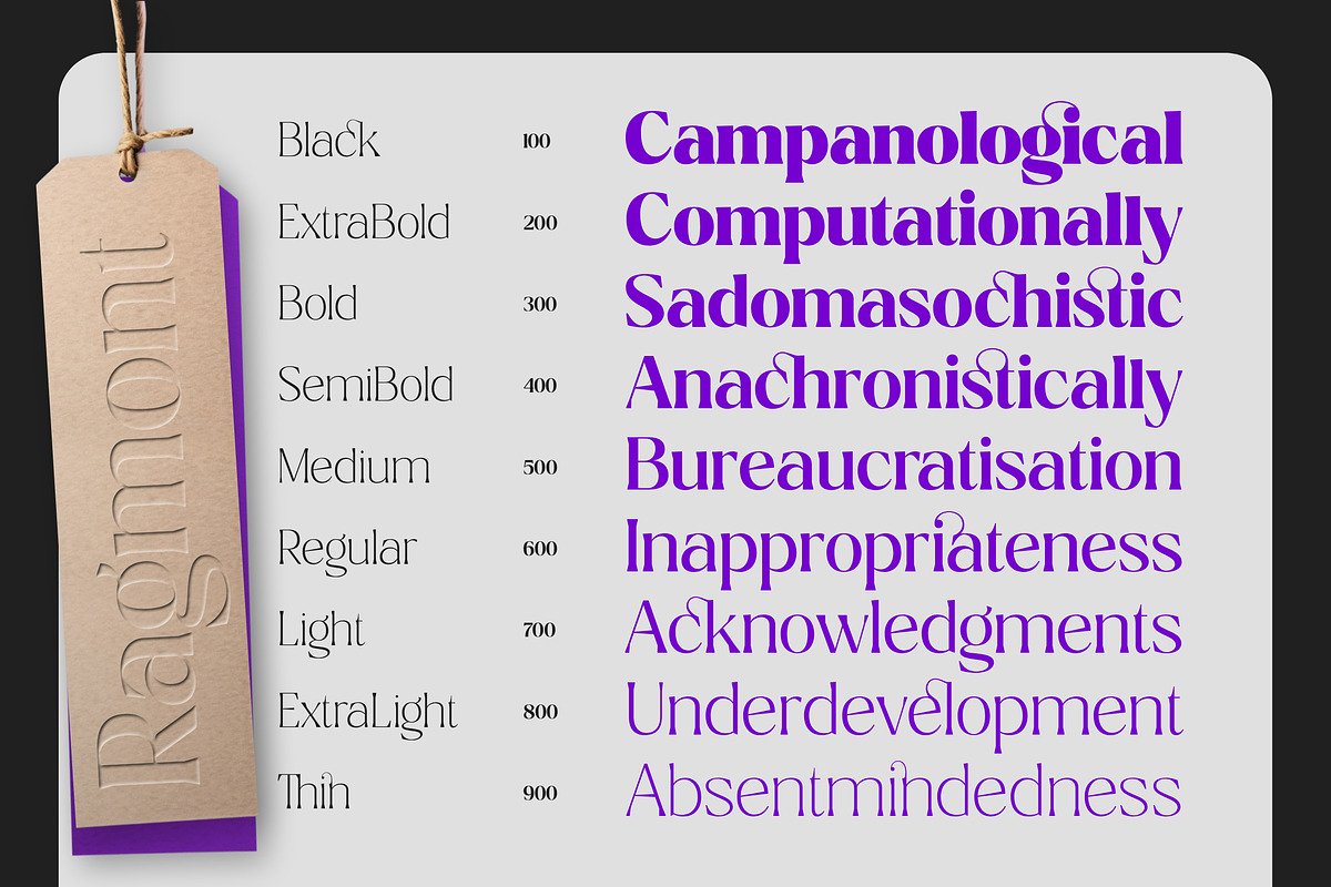 Ragmont Serif, a Serif Font by Megatype (Photo 10 of 15)