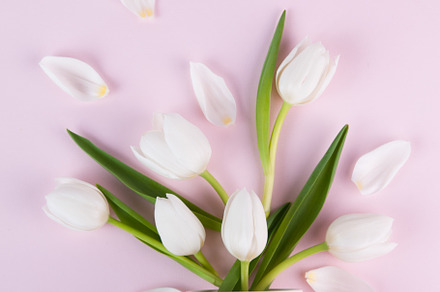 Spring Mug