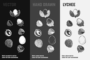 Fruits - hand drawn vector set, a Food Illustration by Margo Miller (Thumbnail 20 of 25)