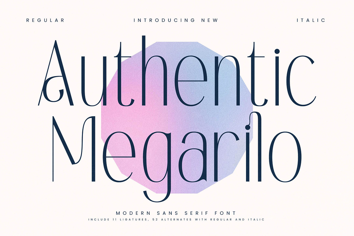 Authentic Megarilo Modern Sans Serif, a Sans Serif Font by Letterena Studios (Photo 1 of 15)