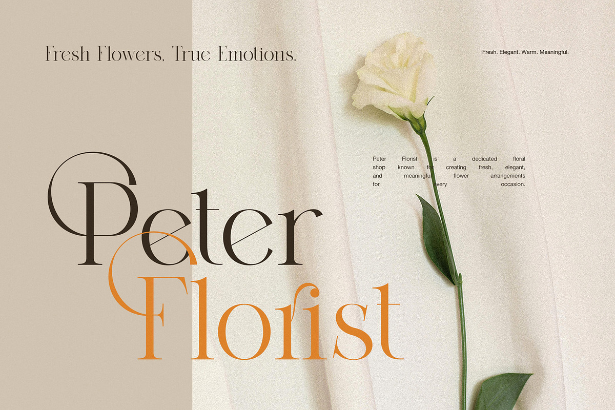 Amida Elegant Display Serif Font, a Serif Font by Graphicxell (Photo 3 of 8)