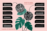 24 Texture Brushes for Illustrator, a Brush Add-On by IuliiaSavko (Thumbnail 2 of 7)